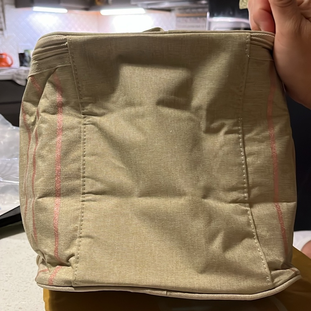 NWT "Nourish by SoYoung" Lunch Bag - Rose Gold Pinstripe - Picture 3 of 10